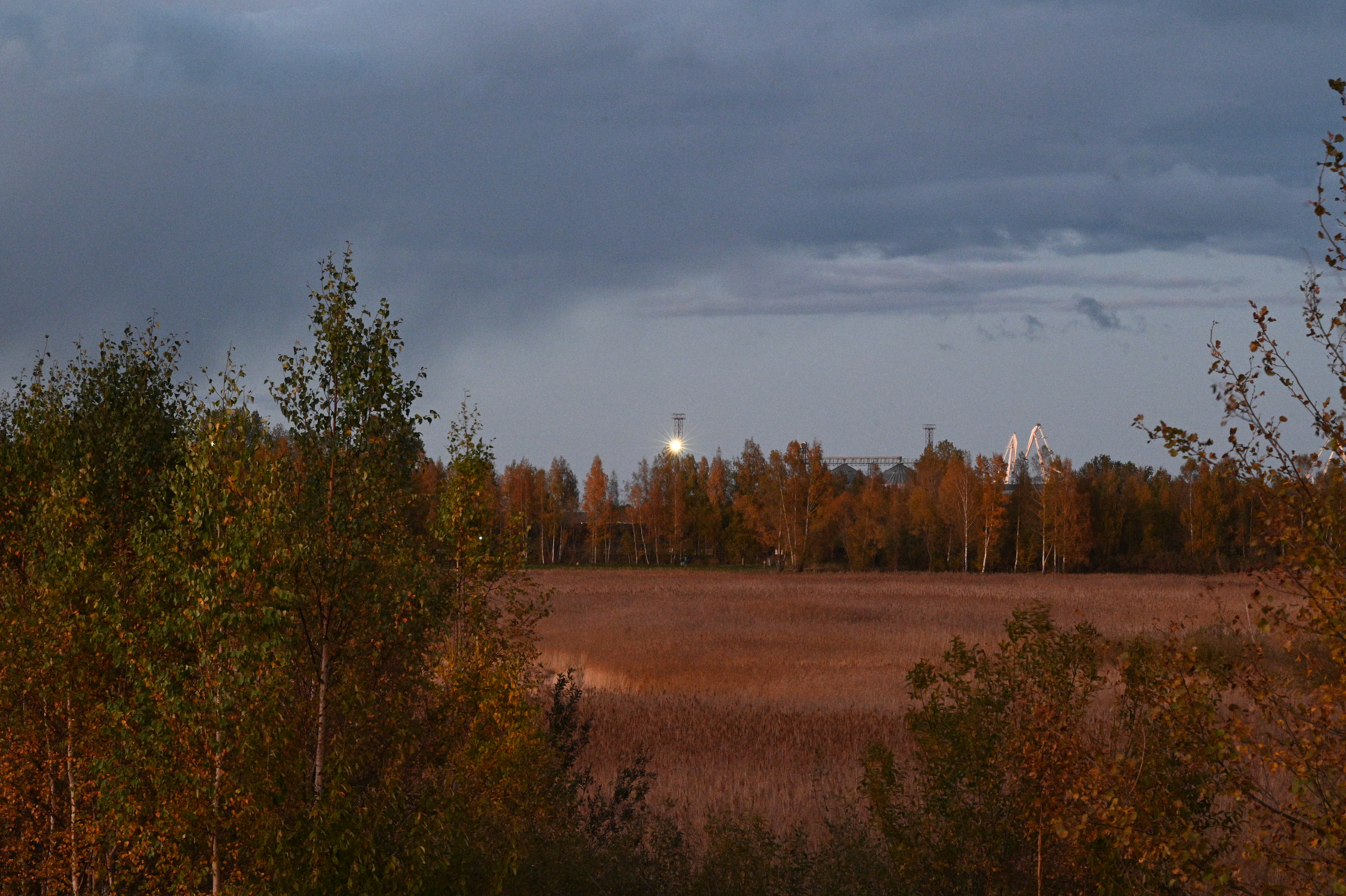 2025/10/18 - walk/DSC_0636.JPG